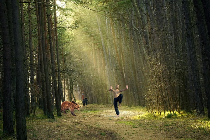 Sun Style Internal Martial Arts